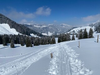 Fototapeta premium Wonderful winter hiking trails and traces on the slopes of the Alpstein mountain range and in the fresh alpine snow cover of the Swiss Alps, Nesslau - Obertoggenburg, Switzerland (Schweiz)
