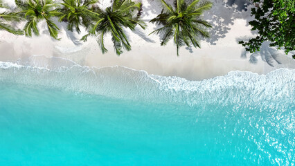 Aerial top view the palm trees in a tropical summer with  Soft blue ocean wave on the beach and...