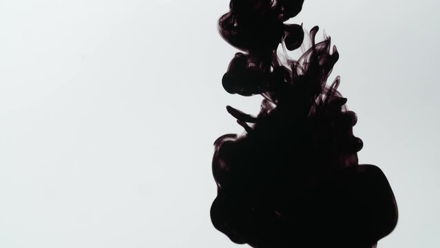 Black Ink Sprayed Into Water On A White Background
