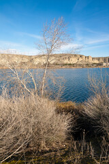 Laguna del Campillo. Madrid. España.