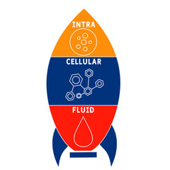 ICF - intracellular fluid acronym. business concept background.  vector illustration concept with keywords and icons. lettering illustration with icons for web banner, flyer, landing pag