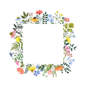 Square floral border. Bright colorful summer frame with hand-painted wildflowers, isolated on white background. Watercolor botanical card, invitation design.