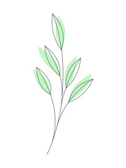 Obraz premium Line art leaves vector illustration. Floral design element for print, beauty or eco branding, card, poster. Contour silhouette branch isolated on white. Minimal contemporary drawing.