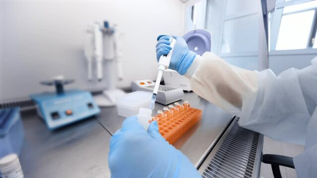 female scientist makes PCR DNA tests in a modern chemical and bacteriological laboratory.