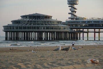 view from the pier