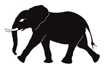 Ein kleiner Elefant läuft schnell durchs Bild 