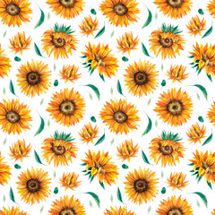 Sunflowers watercolor hand drawn seamless pattern. Yellow flowers pattern isolated on white background 