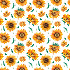 Sunflowers watercolor hand drawn seamless pattern. Yellow flowers pattern isolated on white background 