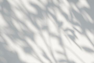 Shadow and sunshine of leaves reflection. Jungle gray darkness leaf shade and lighting on concrete wall for wallpaper, shadows overlay effect