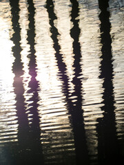 Reflection of Trees in Water, Reading, Berkshire, England, UK. 