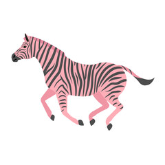 Vector hand drawn flat pink running zebra isolated on white background