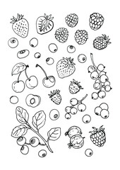 Vegetables and fruits food vector poster. Color sketch of products. Decor for kitchen and restaurant. Farm fruits and berries. Watermelon, banana, pineapple, apple, pear