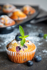 Fresh homemade delicious blueberry muffins