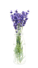 Fototapeta premium Bouquet of lavender flowers in glass isolated on white background. 