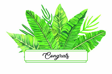 Congrats watercolor lettering. Calligraphy with green tropical exotic monstera palm leaves. For congratulations card, greeting card, invitation poster. Vector illustration stock vector.