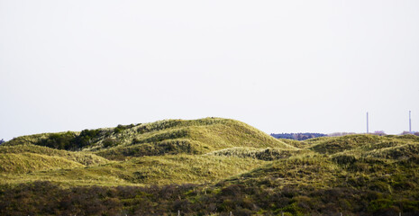 Obraz premium Dune landscape at the Dutch North Sea coast. Nature reserve. Netherlands. 
