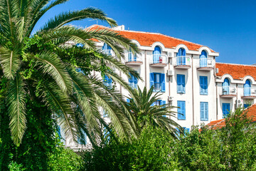 Fototapeta na wymiar Palm trees and hotel in resort at Tivat, Montenegro