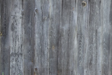 Texture of old darkened wood. The fence tree is old.