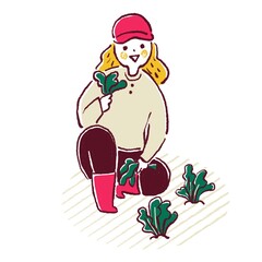 葉物の野菜を収穫するイラスト