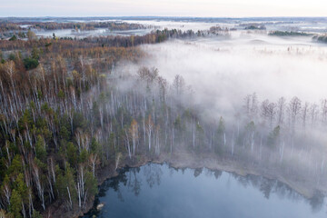 Misty morning by the lake