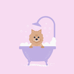 cute dog taking a bath with foam