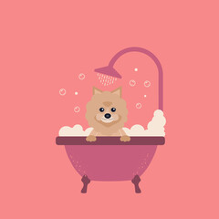 cute dog taking a bath with foam