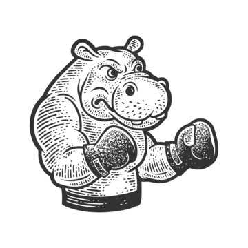 recommend clip art: hippopotamus boxer sketch engraving vector illustration. T-shirt apparel print design. Scratch board imitation. Black and white hand drawn image.