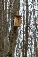 A wooden birdhouse on big old tree in park or forest in sunny spring day