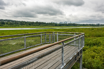 Fototapeta na wymiar Recreational deck with observation over the park of Burnaby lake