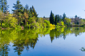 Fototapeta na wymiar lake in the park with reflections