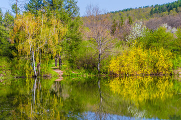 lake in the park with reflections