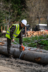Pretty woman working as a forester.
