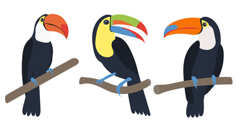 toucan on a branch background, isolated, vector