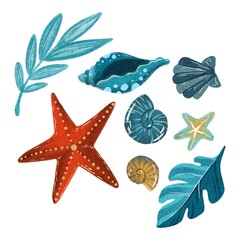 Hand Drawing Set of Ocean Tropical inhabitants . Seashells, Starfish and Leaves. Use for poster, stickers, print, shop, design