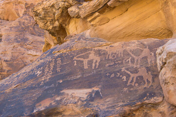 Camel motifs of Rock Art in the Ha'il Region, Saudi Arabia