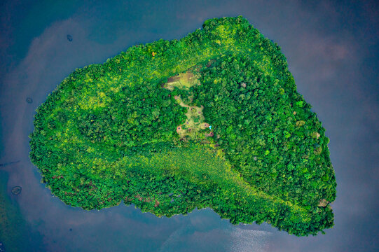 Aerial view of a small island in Dedduwa Lake, Induruwa, Sri Lanka.