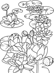 Many water lilies on the pond. Beautiful flowering aquatic plant. Coloring book.