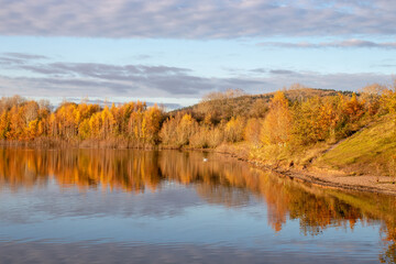 Fototapeta na wymiar Autumn trees by the lake.