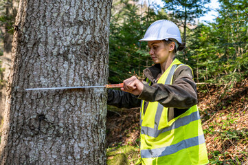 Pretty woman working as a forester.