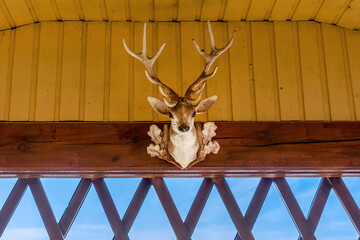 Fototapety na wymiar - Fototapeta24.pl