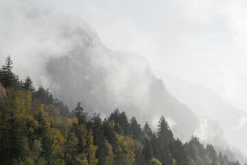 Fog in the hills of the Cascade Range