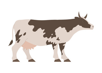 Cow with udder. Animal for farm, milk and meat. Ungulate mammal. Spotted color. Vector cartoon illustration isolated on white background