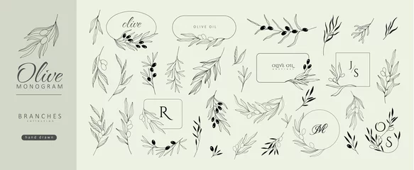 Foto op Plexiglas Set of olive oil monogram, floral branch and frames. Hand drawn wedding logo herb, with elegant leaves. Botanical rustic trendy greenery © merfin