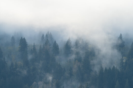 Clouds in the Cascade Range © David Katz