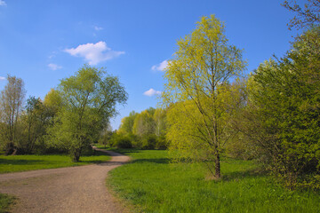 path in public park leipzig holzhausen 