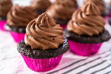 Chocolate ganache cupcake