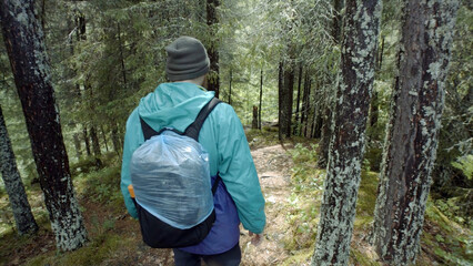 Rear view of traveler walking down forest path. Stock footage. Traveler with backpack and in...