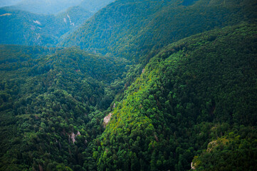 Fototapeta premium sunny day above green forest and hills of Moravia