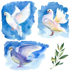 Watercolor painting. White pigeons set with olive branch. - 502384727