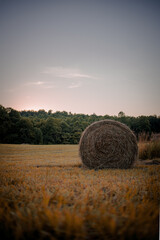 Beautiful view of hay bales in a field surrounded by trees at sunset